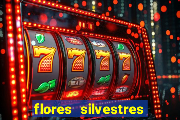 flores silvestres desbravadores desbravadores 25